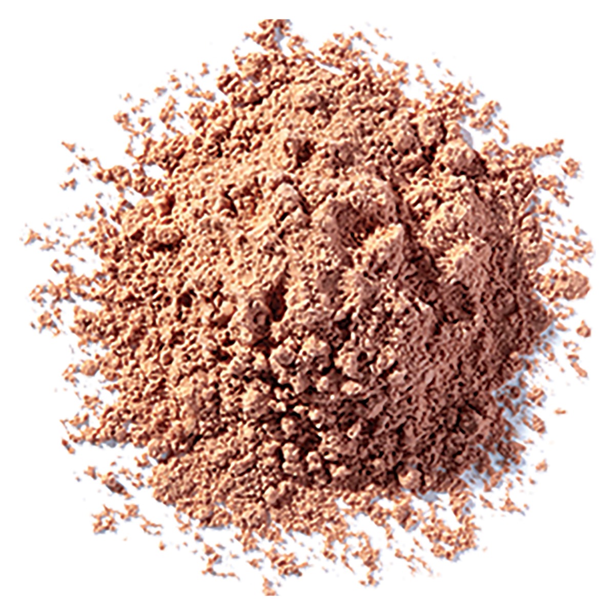 Pro Touch Setting Powder - EARTH view 3